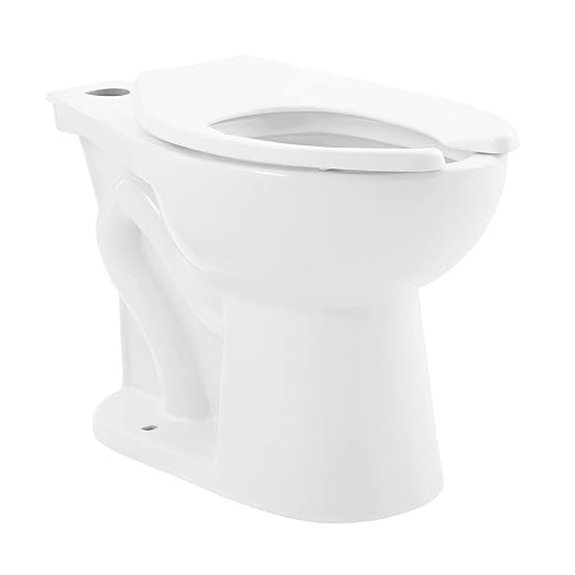 sir ne floor mounted flushometer toilet